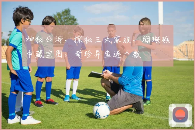 神秘公海，探秘三大家族，珊瑚礁中藏宝图，奇珍异鱼逐个数