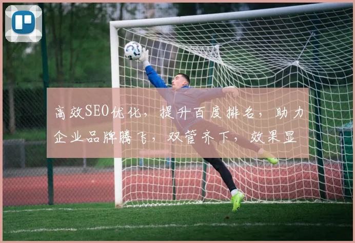 高效SEO优化，提升百度排名，助力企业品牌腾飞，双管齐下，效果显著，值得信赖